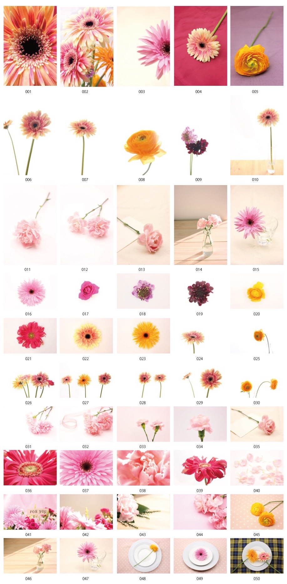 花の写真vol.1