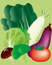 蔬菜插圖素材第2卷