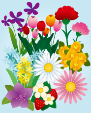春天的花朵插圖素材