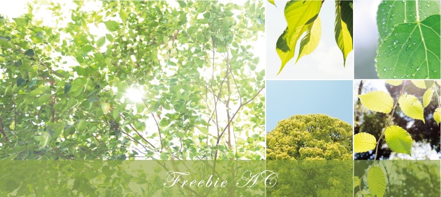 Tài liệu hình ảnh màu xanh lá cây vào đầu mùa hè