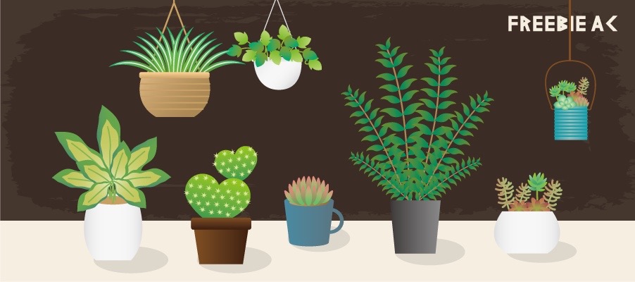 Foliage plants, cactus, succulent illustration 