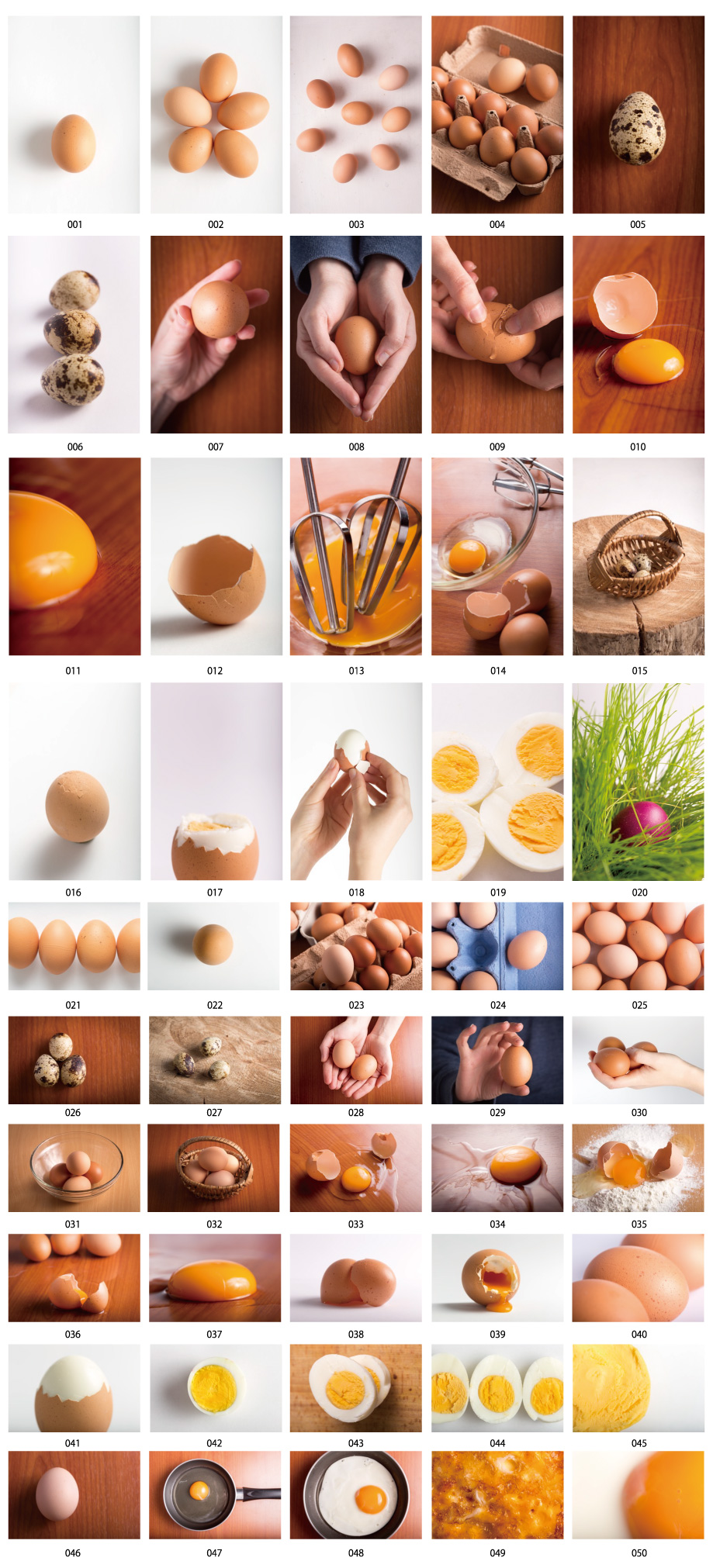 Egg Stock Photos