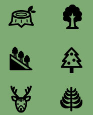 Vật liệu biểu tượng hình bóng rừng