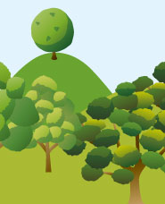 Realistic tree illustration