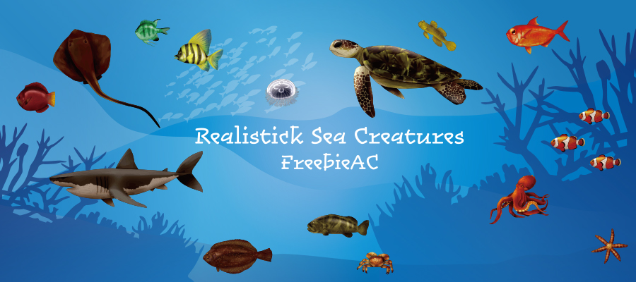 Sea creatures illustration