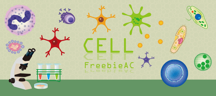 Cell illustration