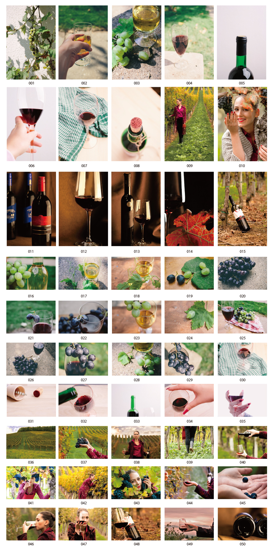 葡萄酒圖像照片材料