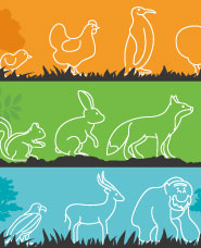 Animal Line icon