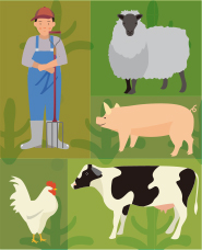 Vật liệu minh họa chăn nuôi