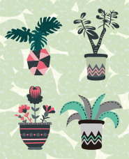 House plants illustration