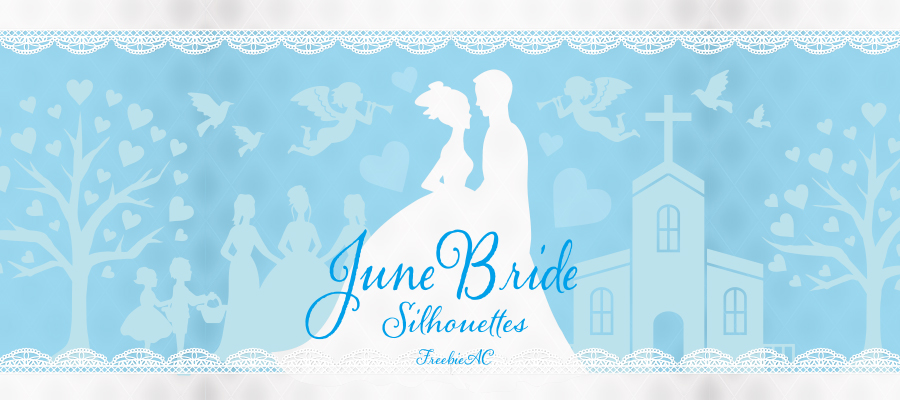 Silhouette material of june bride