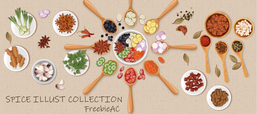 Spice illustration collection