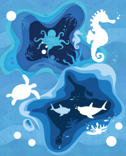 Sea creatures illustration collection