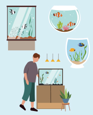 Aquarium Illustration Collection