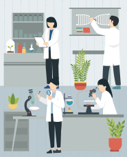 Researcher Illustration Collection