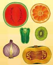 Hình minh họa mặt cắt trái cây