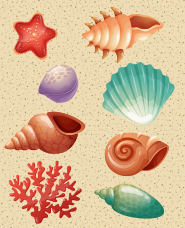 貝殻のイラストコレクション
