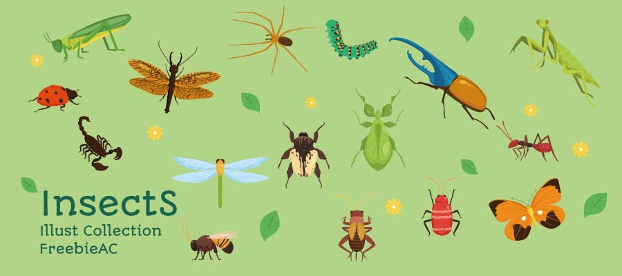 bộ sưu tập minh họa côn trùng