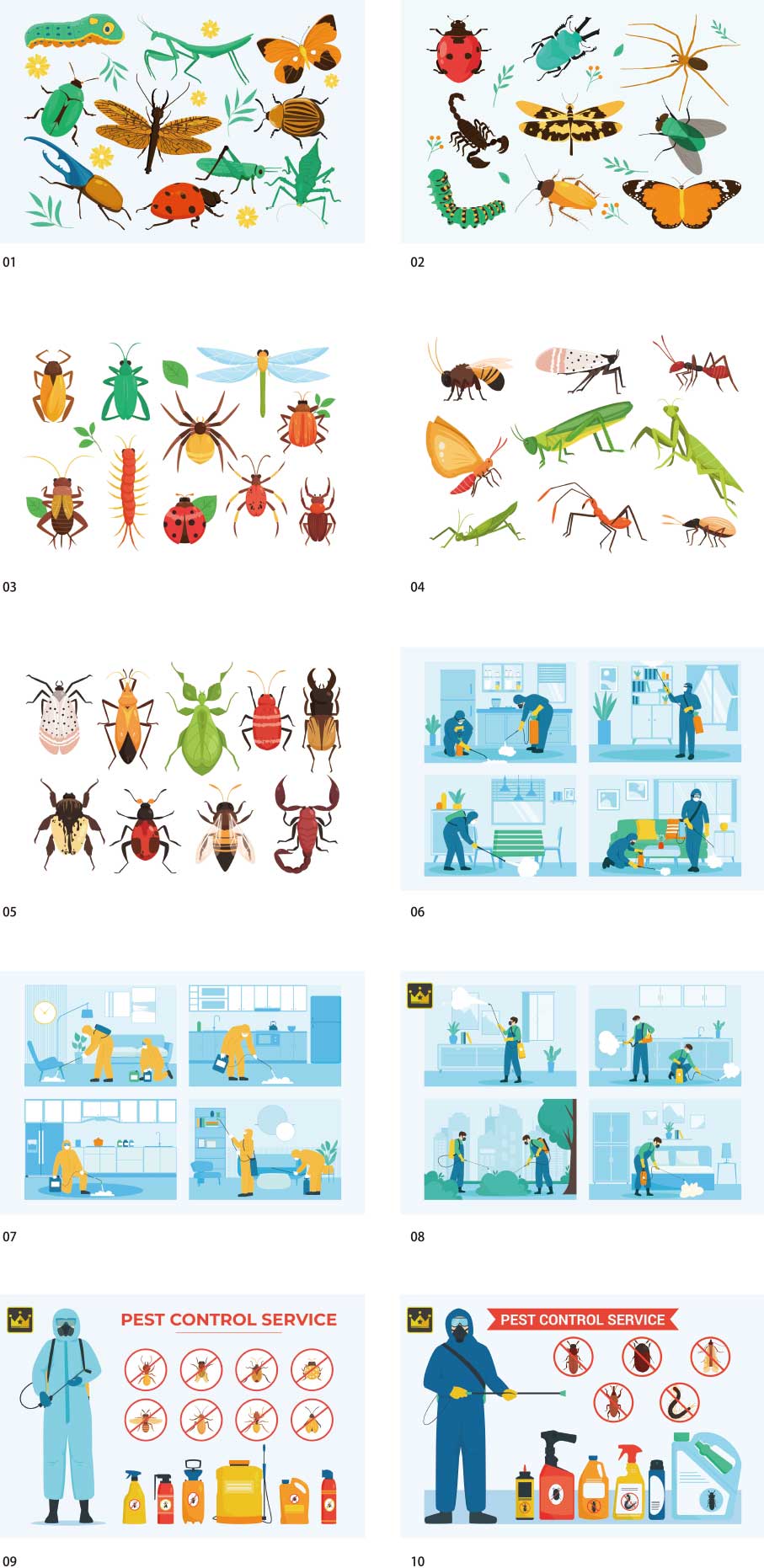 insect illustration collection