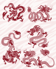 Dragon illustration collection