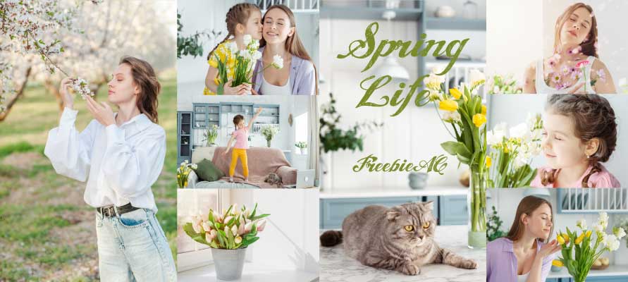 spring life photos